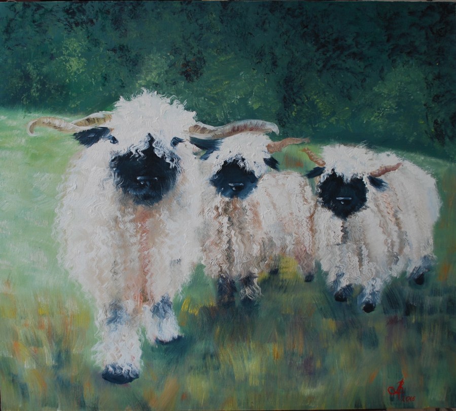 Black noses sheep, oil on canvas, 80*70cm